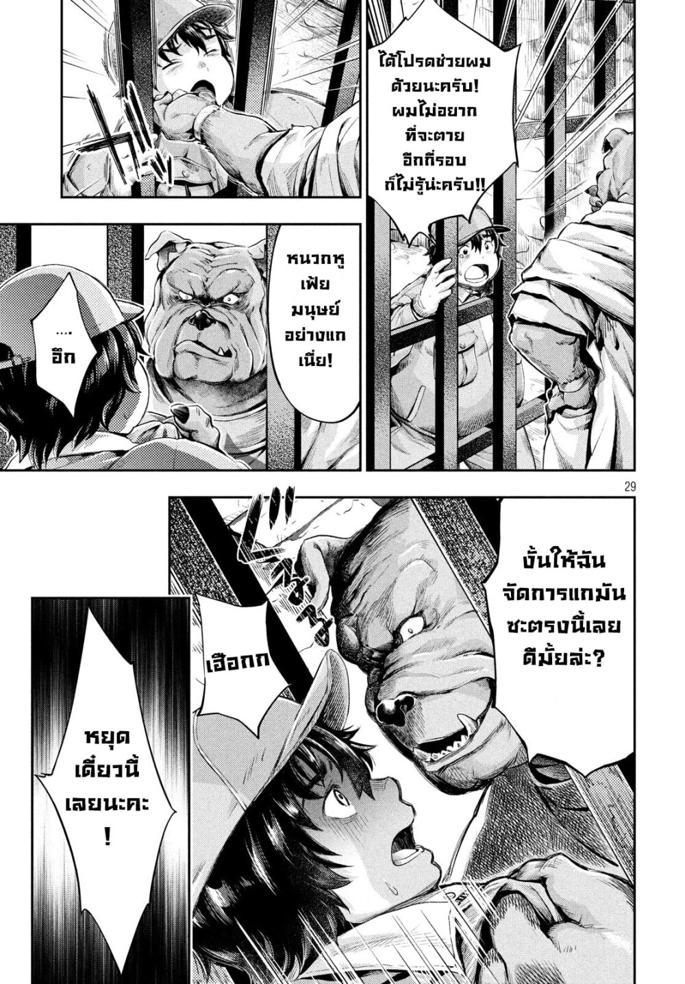 Dou แปลไทย