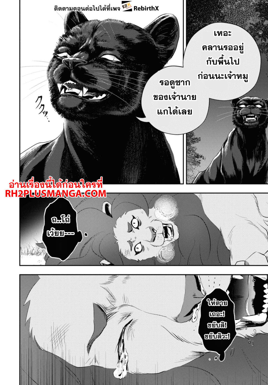 kaeri 24.1 แปลไทย