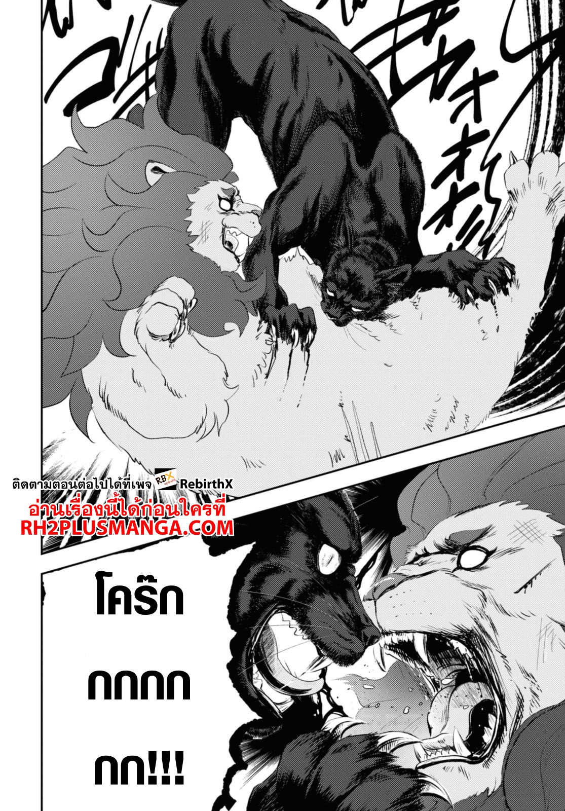 kaeri 24.1 แปลไทย