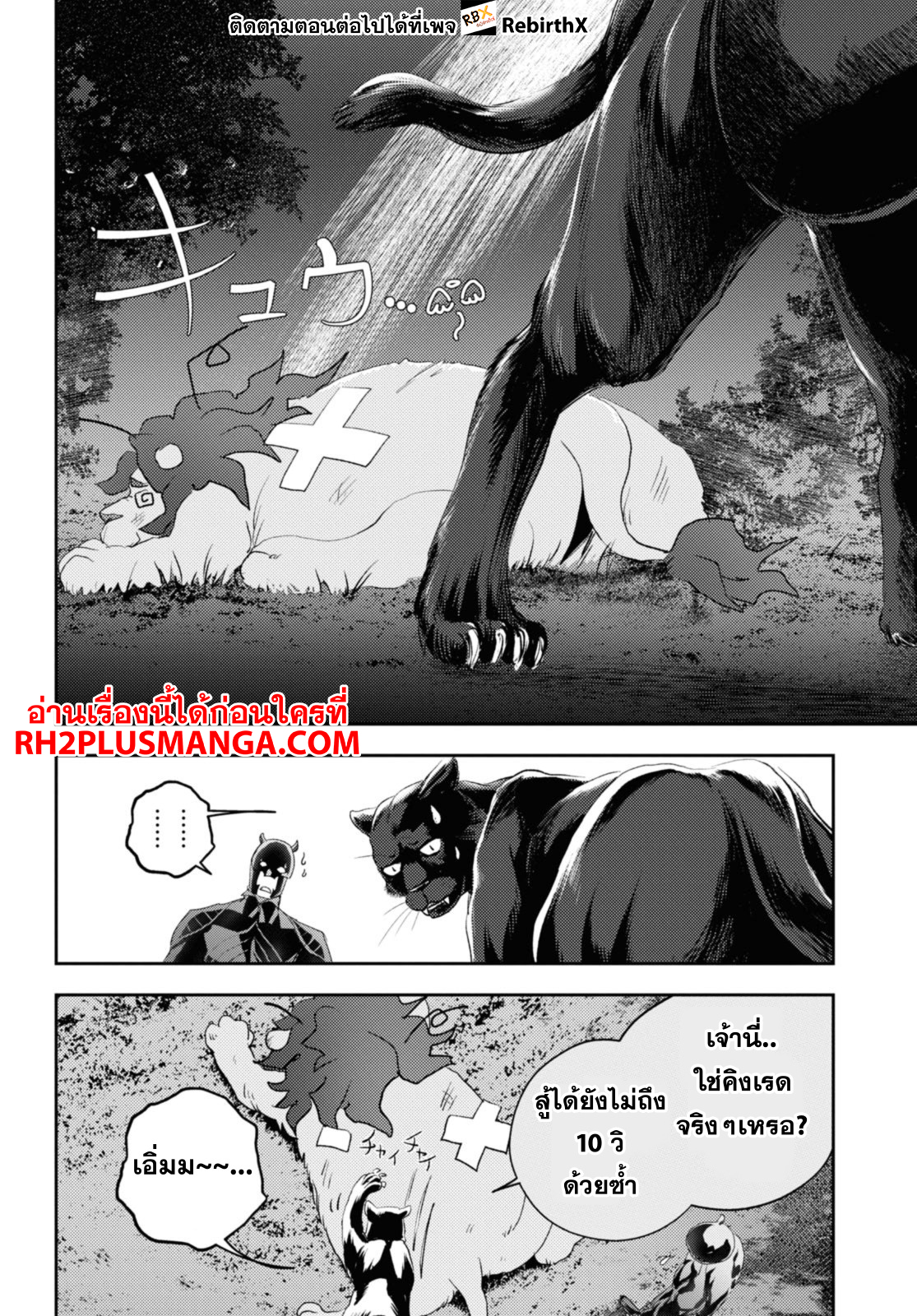 kaeri 24.1 แปลไทย